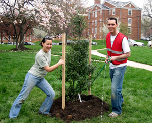 caseytrees_scienceforcitize caseytrees_scienceforcitize