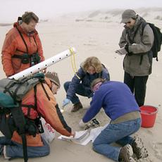 COASST_ScienceforCitizens_ Volunteers survey a local beach for COASST.