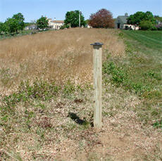 picture post in maine A Picture Post and its "habitat" in Maine.