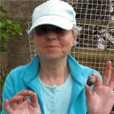 BBC Amateur scientist Ruth Brooks BBC's amateur scientist of the year, Ruth Brooks, and her test subjects. Photo: BBC