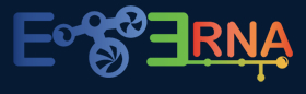 EteRNA_logo Learn how RNA folds, then create your own shapes to test in the lab. Photo: EteRNA