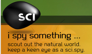 scispy scispy