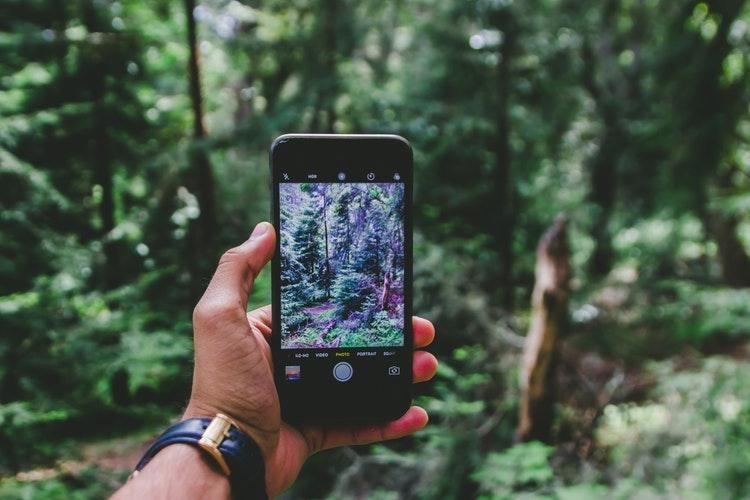Identifying Resilient Trees