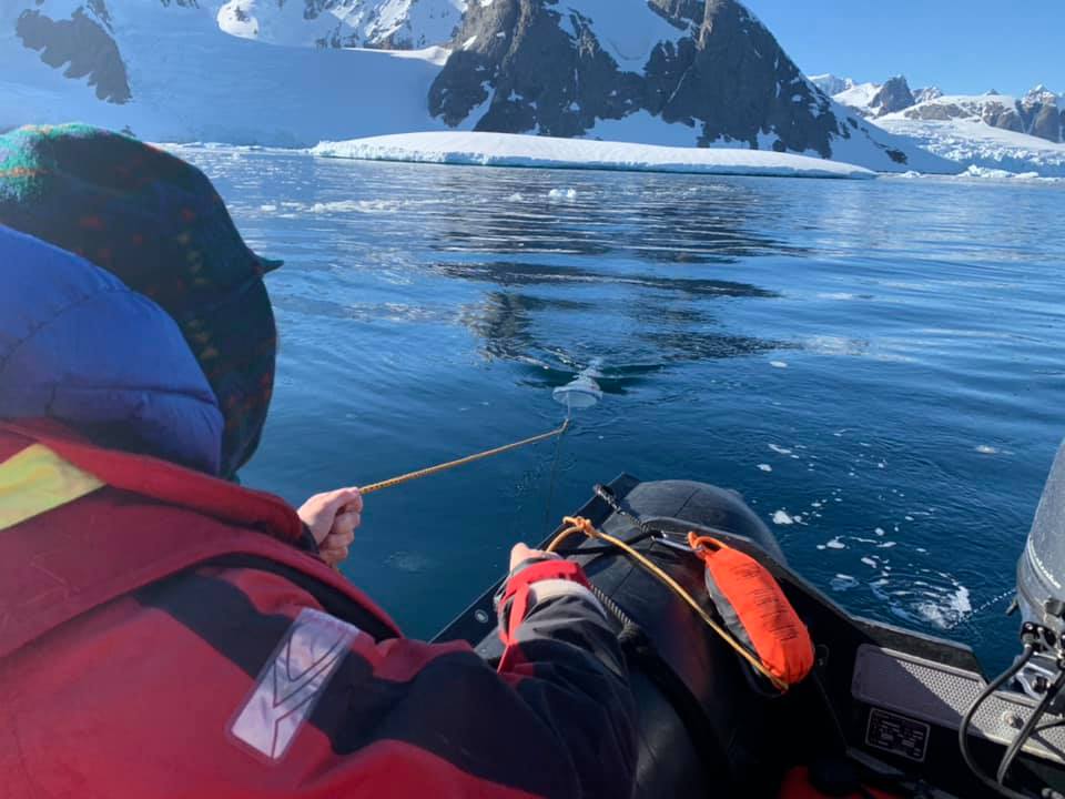 Antarctic Citizen Scientists
