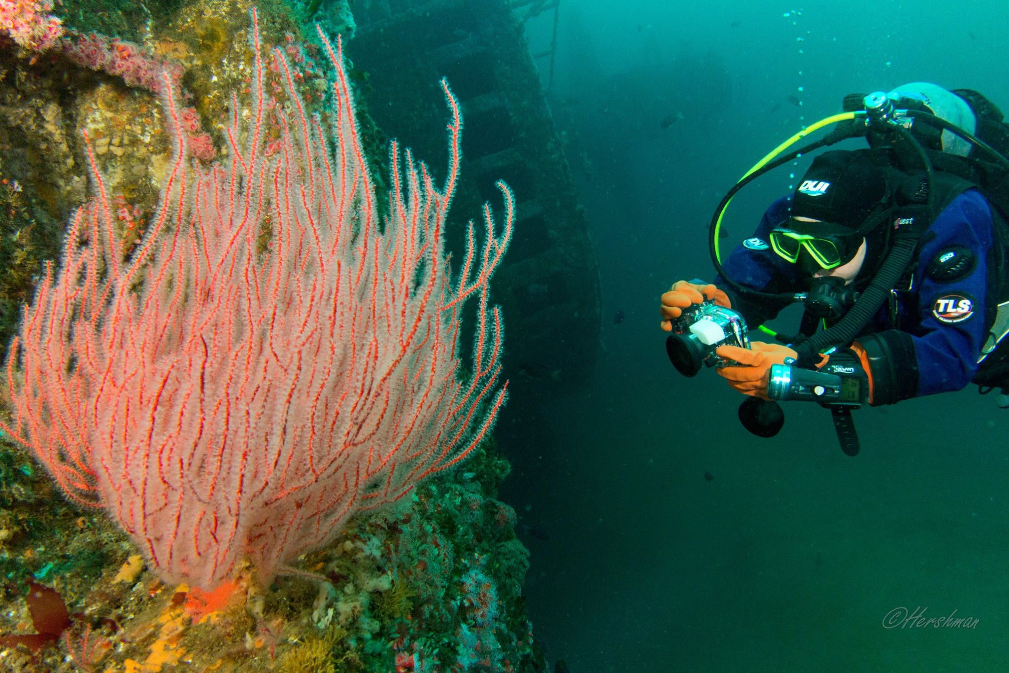 Long Beach Scuba Show