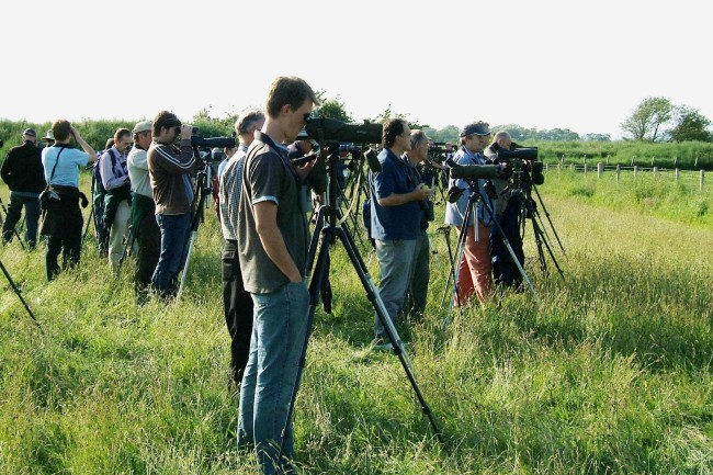 birders
