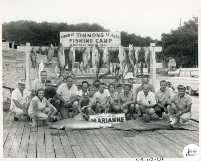 old sport fishing photo with sharks 1960s daytona beach