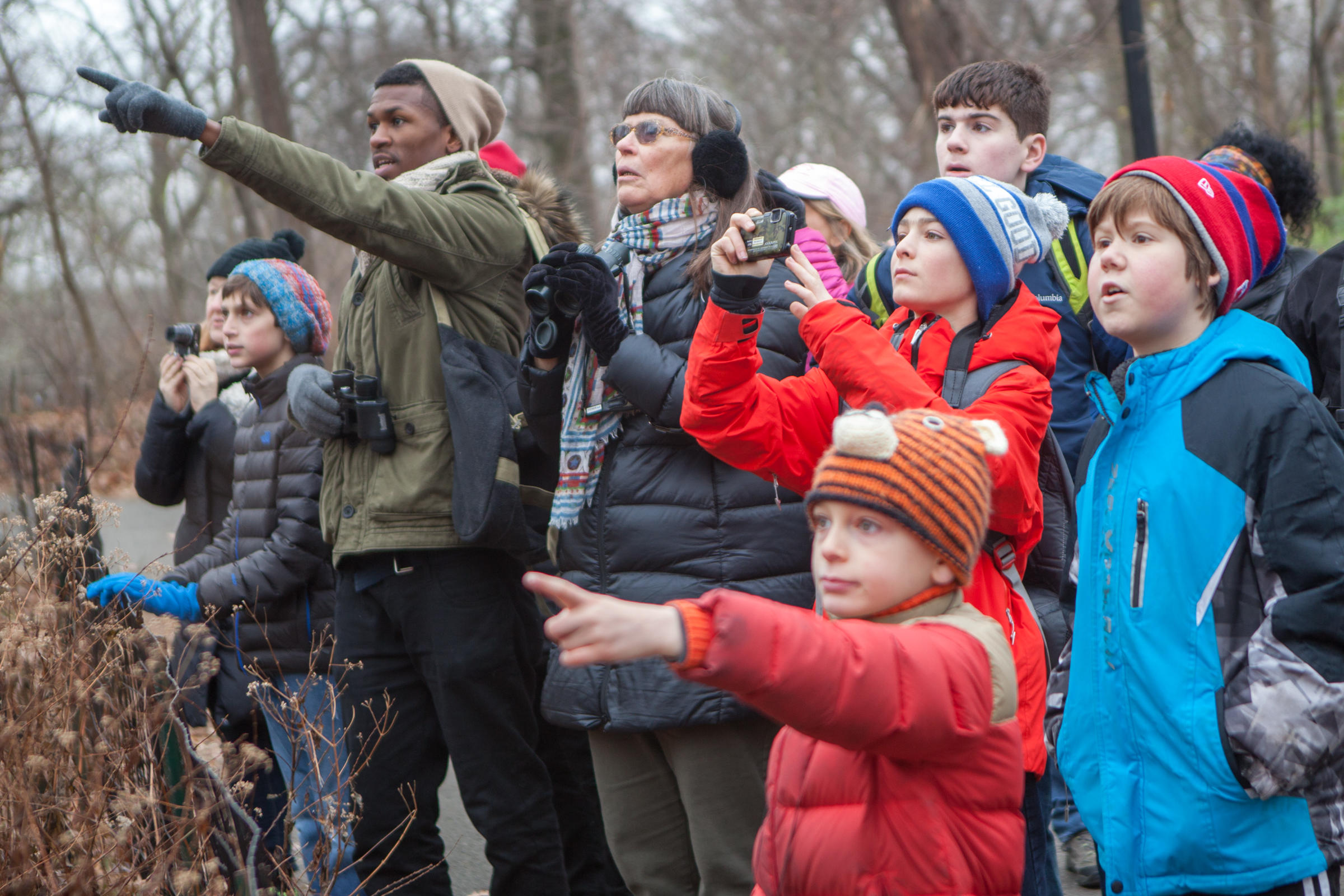 christmas bird count birder volunteers